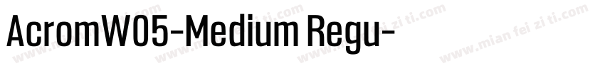 AcromW05-Medium Regu字体转换